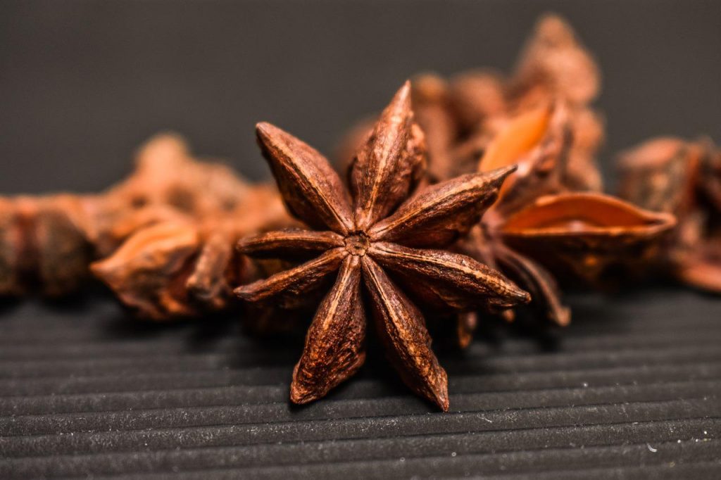 South Asian Spices- Star Anise
